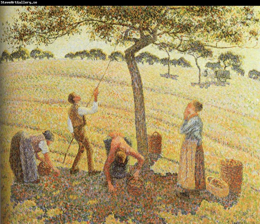 Camille Pissarro Pick  Apples